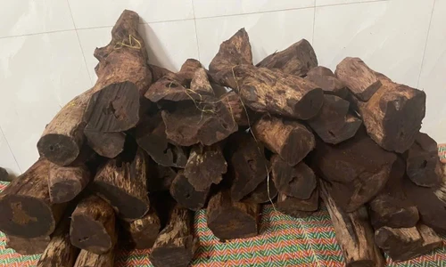 Gỗ mán đỉa 'sốt giá' bất thường 