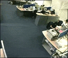 Chẳng mấy khi sếp đi vắng.