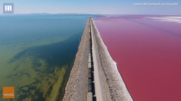 Vẻ đẹp kỳ diệu của hồ muối hai màu xanh đỏ được ngăn đôi.