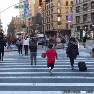 Đừng đùa với “dân chuyên nghiệp”