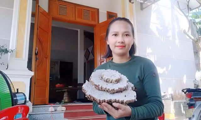 Tổ nhộng được đốt cháy, sau đó lấy từng con ra. Ảnh: Thanh Hiền