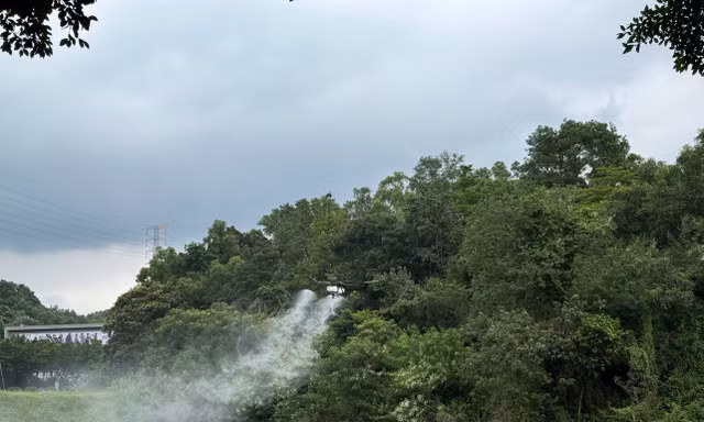 Drone phục vụ tưới nước, bón phân, thăm đồng ở Quảng Đông, Trung QuốcẢnh: Phan Huyền