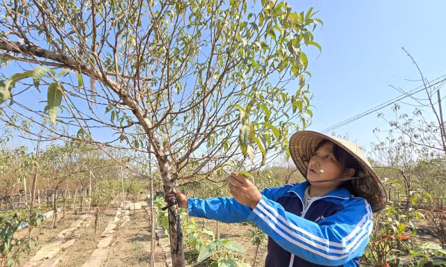 Trục đại lộ cảnh quan sông Hồng: Chỗ đứng nào cho làng nghề truyền thống?