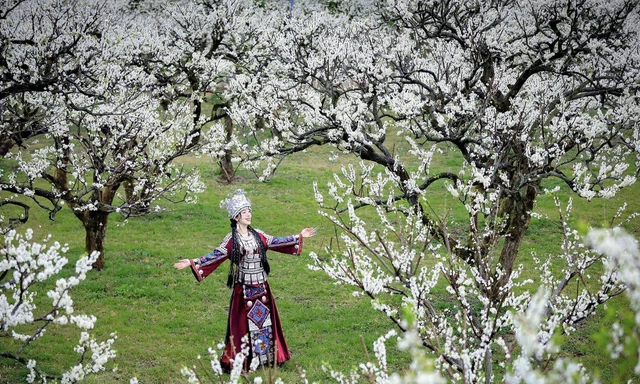 Dịp nghỉ Tết Dương lịch 2026: Du lịch sôi động