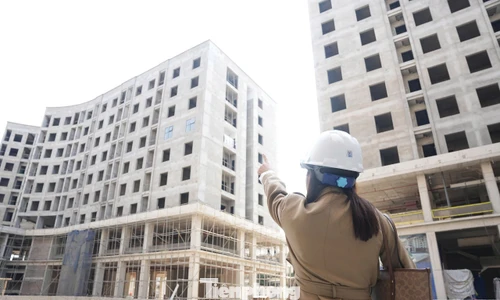 Vì sao giá bất động sản vẫn 'neo' cao?