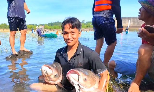 Người dân đổ xô vào Thuỷ điện Trị An bắt cá khủng