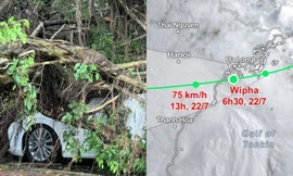 Hà Nội vẫn có thể có dông lốc, gió mạnh dù bão Wipha không đi qua