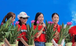 Puka, Khả Như và nhiều nghệ sĩ trồng cây trong dự án Thành phố nở hoa