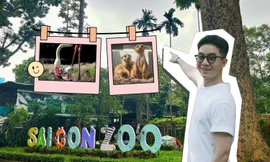 Thảo Cầm Viên "gây sốt" trở lại: Từ ký ức tuổi thơ đến điểm nạp "vitamin tree"