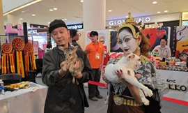 Chú mèo xấu nhất thế giới chuẩn bị "lên xe hoa"