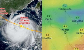 Dự báo mới về bão số 11 Matmo: Có thể sẽ không đổ bộ Quảng Ninh