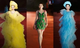 Hoa hậu Tiểu Vy làm vedette trong show diễn thời trang tại Cảng du lịch sông Hàn