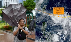 Dự báo đường đi của bão Podul, ảnh hưởng đến thời tiết nước ta không?