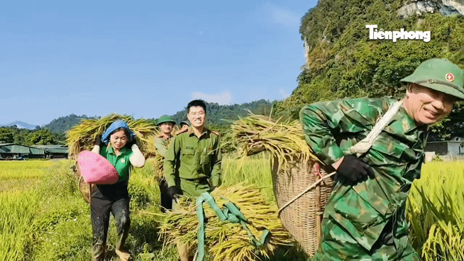 Công an, đoàn viên xuống đồng giúp người dân cứu lúa sau dông lốc