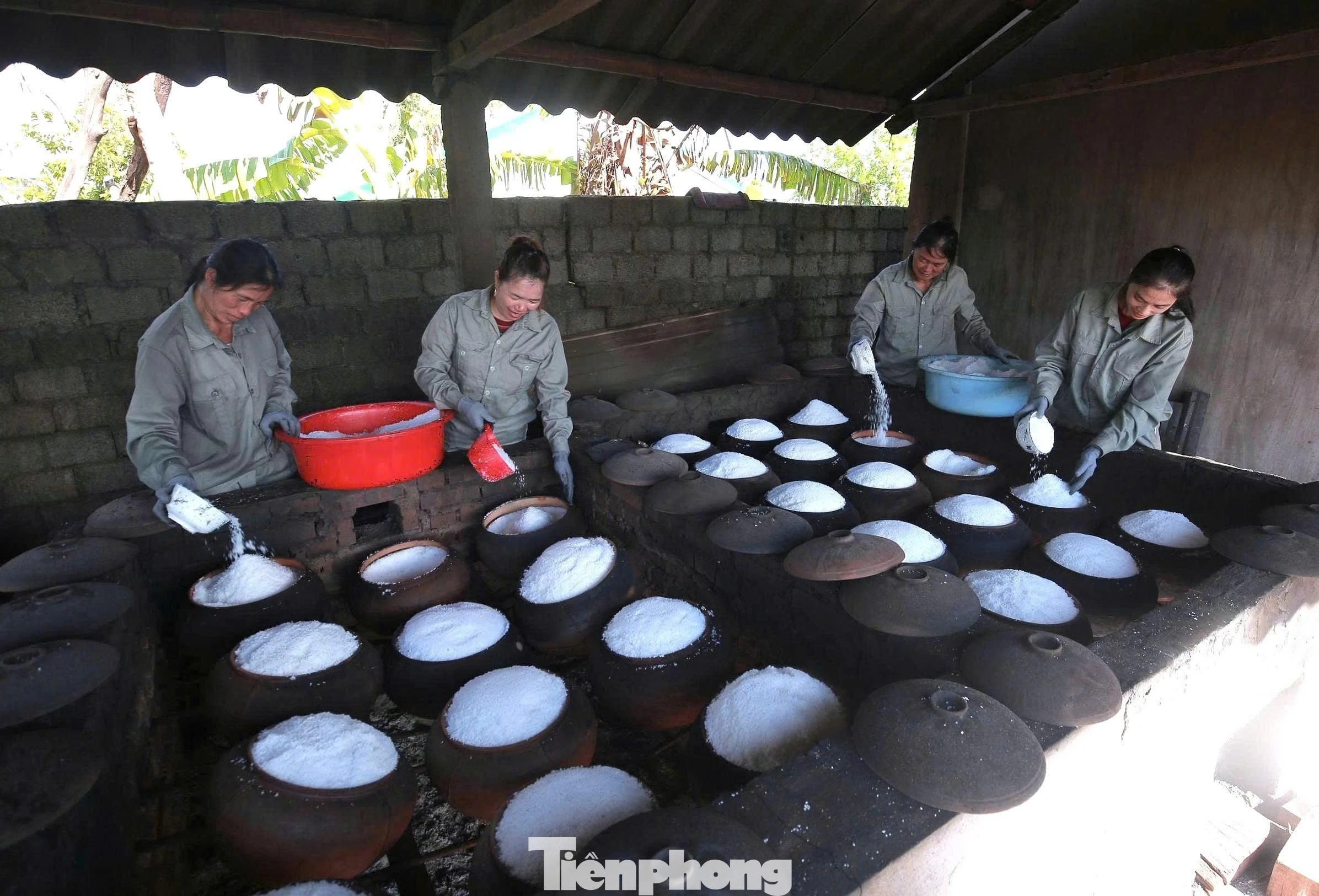 Ông Bùi Xuân Điện Làm Sống Lại Nghề Muối 400 Năm Với Sản Phẩm Muối Hầm Độc Đáo