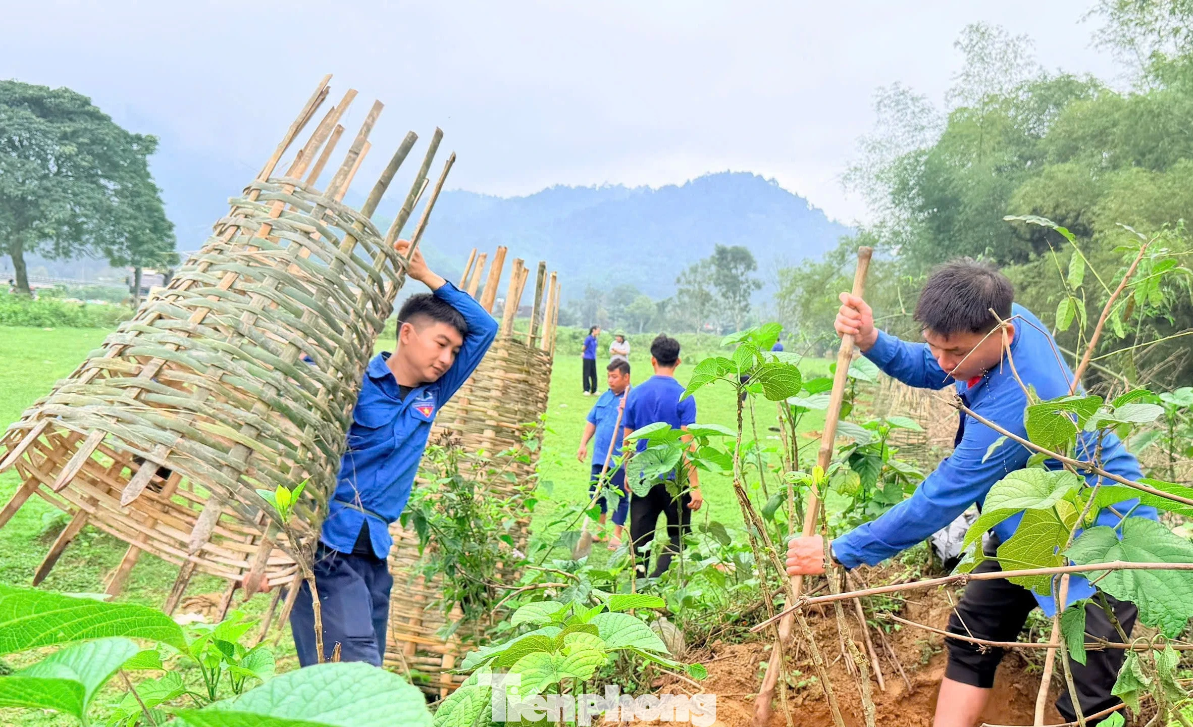 Tuổi Trẻ Nghệ An Hưởng Ứng Tết Trồng Cây, Gieo Mầm Xanh Cho Quê Hương