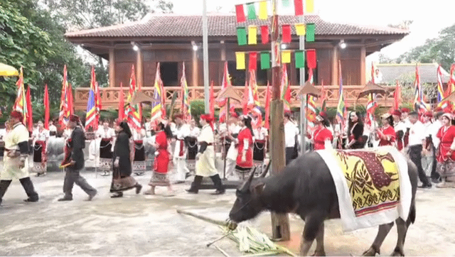 Đặc sắc lễ hiến trâu ở đền thiêng Chín Gian