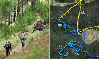 người bị lạc khi leo núi, đi rừng thường đi thành vòng tròn