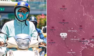 Bão số 3 Kujira được dự báo không ảnh hưởng trực tiếp đến đất liền Việt Nam.