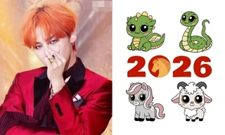 Tuổi Thìn, Tỵ, Ngọ, Mùi: Màu nào giúp cân bằng năng lượng năm Bính Ngọ 2026?