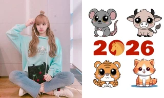 Tuổi Tý, Sửu, Dần, Mão: Màu sắc may mắn năm Bính Ngọ 2026 cho từng con giáp