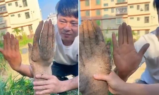 Bác nông dân đào được củ khoai hình bàn tay: Là hiện tượng gì, vì sao xảy ra?