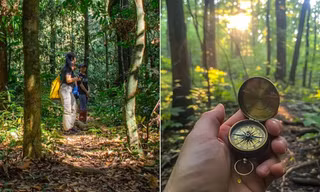 Môi trường, đặc điểm của rừng núi có thể khiến la bàn hoạt động không ổn định