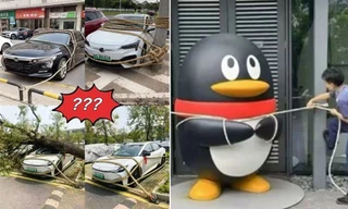 Hình ảnh ô tô được buộc dây ở Trung Quốc để chống bão Ragasa: Sự thật là gì?