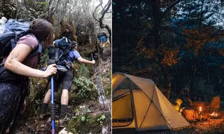 Người đi rừng vào buổi tối không tạo tiếng động