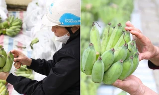 Mâm ngũ quả ngày ông Công ông Táo: Những màu sắc nào hòa hợp nhất với năm nay?