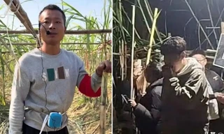 Anh nông dân cho khách vào “ăn trộm” mía ở trang trại, thu nhập tăng 10 lần