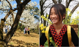 Tiết Xuân Phân 2026 bắt đầu: 4 lời nhắc từ cổ xưa giúp “bổ khí”, rất dễ làm