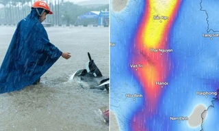 “Hội tụ gió” là gì, vì sao gây mưa lớn và sấm sét ở Hà Nội sau bão số 11?