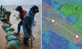 Bão Bualoi dự báo có đường đi rất khó chịu, gây mưa từ miền Bắc đến miền Trung