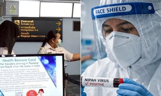 Virus Nipah có dễ lây không và liệu có đáng lo ngại như dịch COVID-19 không?