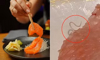 Thực khách phát hiện vật thể giống ký sinh trùng trong món cá sống