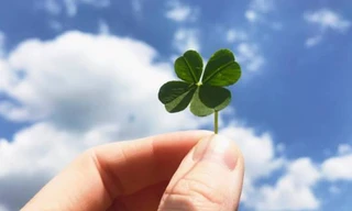 3 cung hoàng đạo may mắn nhất năm 2026 và 3 cung có thể "làm gì cũng xong”