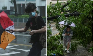 Bão số 3 Wipha có thể đổ bộ nước ta ở cấp 10 - 11, mức độ nguy hiểm thế nào?