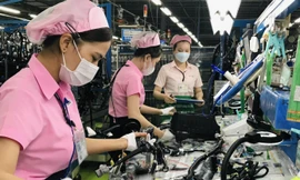 Nhiều doanh nghiệp FDI thưởng Tết cao, kèm theo phúc lợi tốt