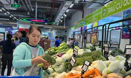 Sản lượng rau củ về TPHCM giảm mạnh: Giá tăng chóng mặt