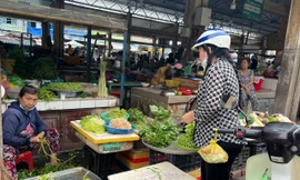 Bão lũ cắt đứt nguồn cung, giá rau xanh TPHCM leo thang từng ngày