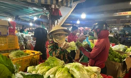 Rau trái về TPHCM tăng dần, nhiều loại chỉ 10.000 đồng/kg