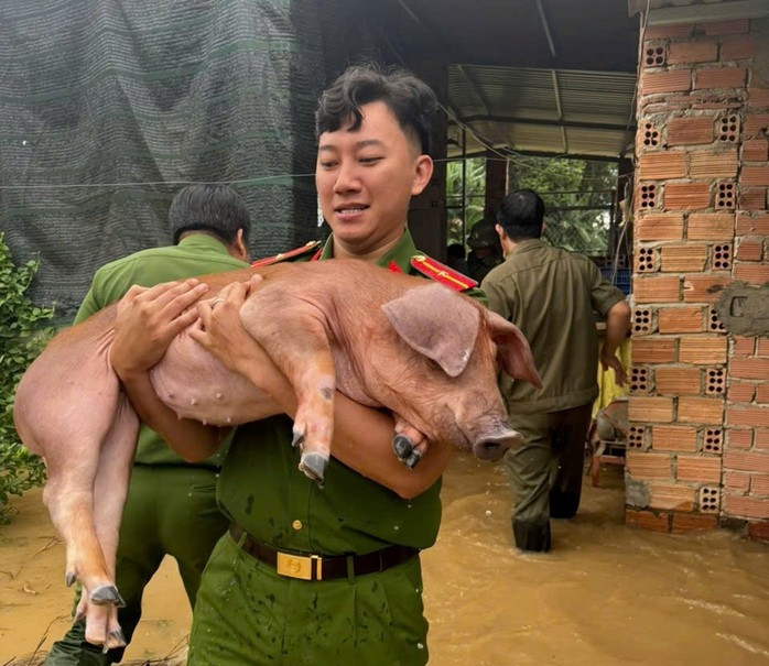 Cán bộ Công an xã Đak Lua, tỉnh Đồng Nai giúp dân đưa vật nuôi đến nơi an toàn