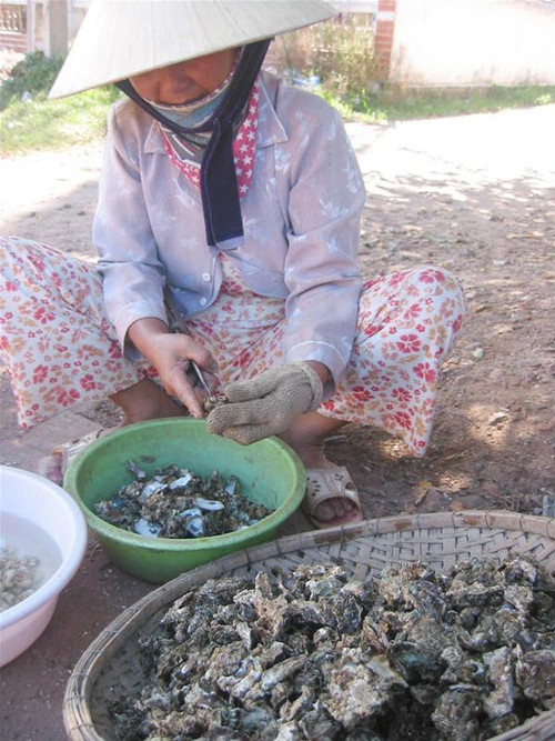 Chị Chương (vợ anh Đáng) tách hàu