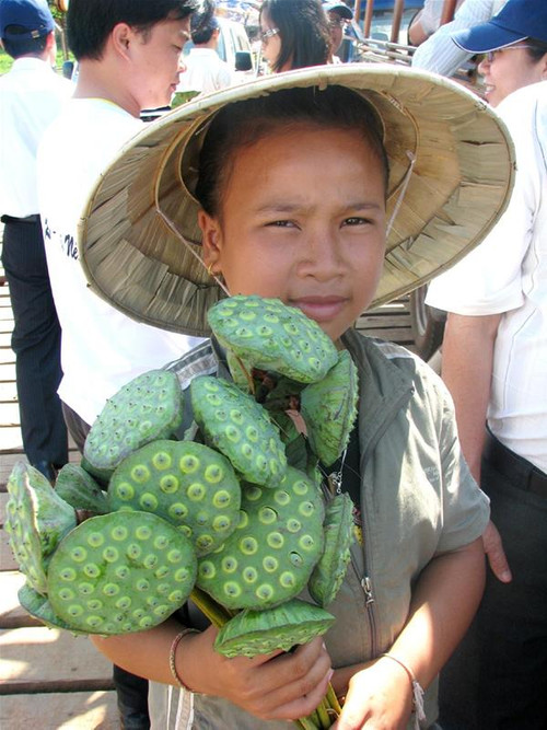 Em bé bán đài sen trên phà sông Mê Kông