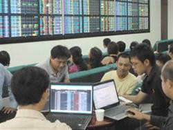 Cổ phiếu đồng loạt giảm sàn, không phân biệt kết quả kinh doanh của doanh nghệp - Ảnh: Diệp Đức Minh