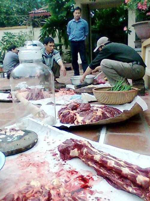 Thịt ngựa bạch