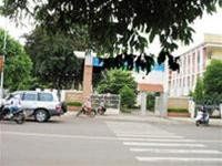 Trường P. dưới tán cây yên bình Trường P. dưới tán cây yên bình