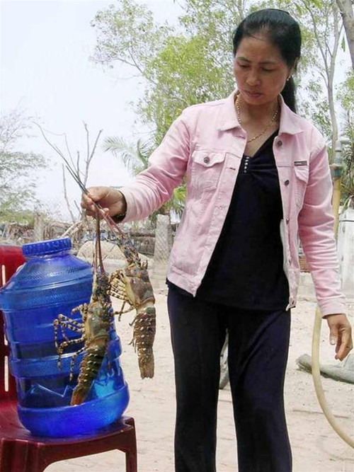 Chị Nga và những con tôm chết. Ảnh : TP