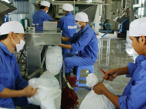 Dây chuyền sản xuất đá viên tinh khiết của Cty Thủy Tạ